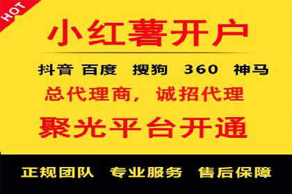SEM运营中的数据分析和优化案例研究